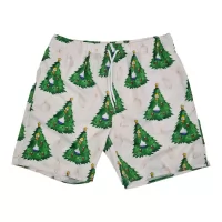 HEDGES BEACH SHORTS