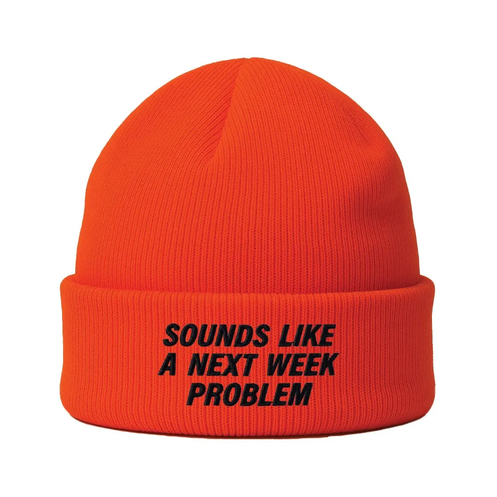SOUNDS LIKE A NEXT WEEK PROBLEM HI-VIS ORANGE BEANIE