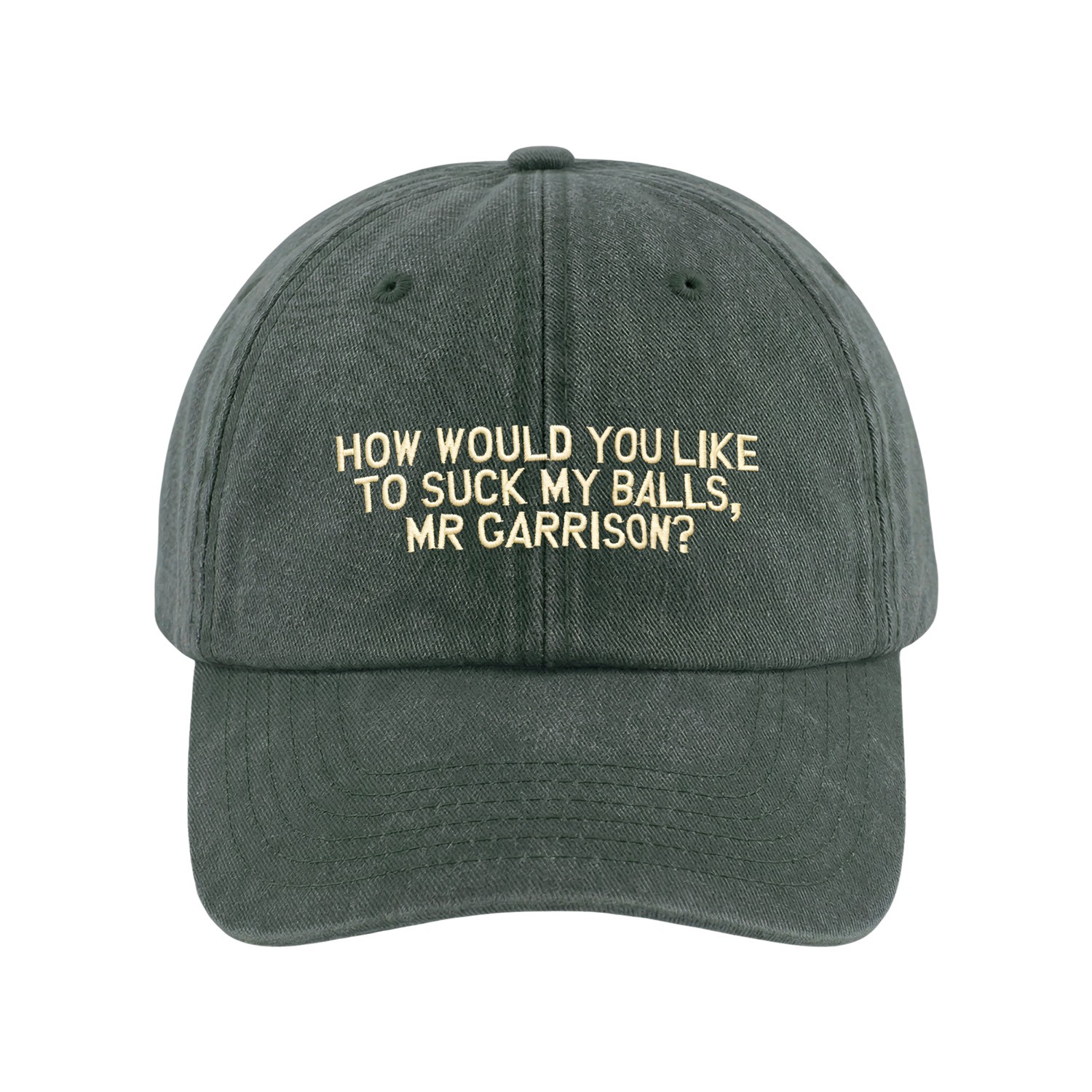 MR GARRISON WASHED SAGE DAD HAT