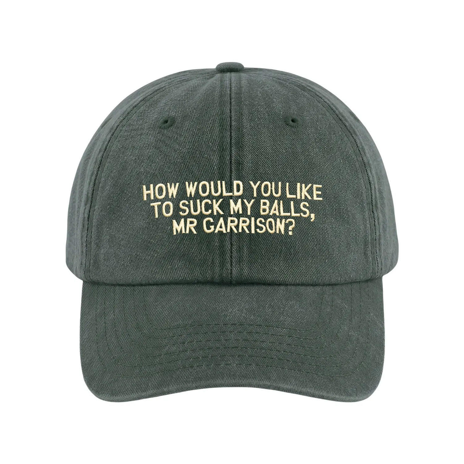 MR GARRISON WASHED SAGE DAD HAT