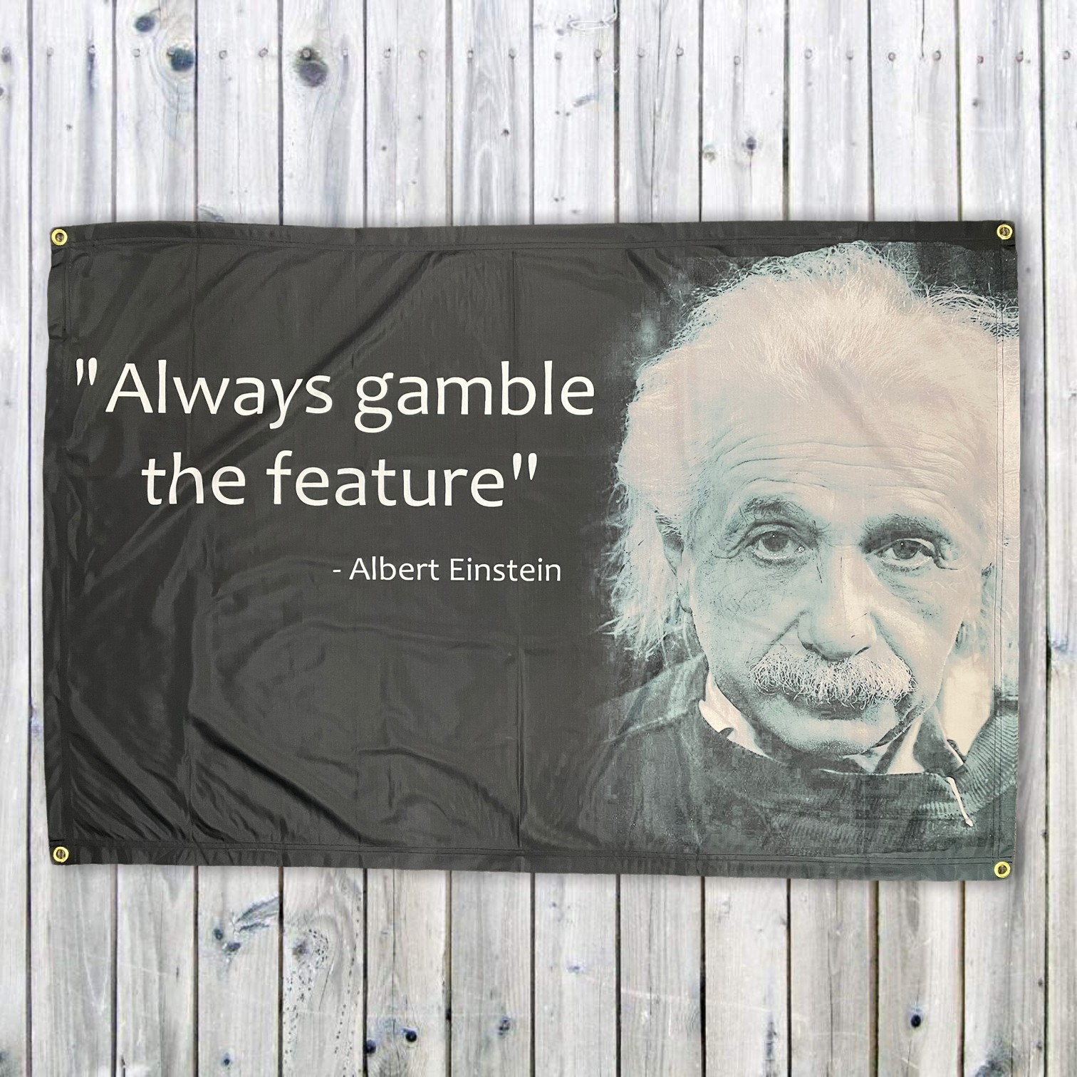 EINSTEIN WALL HANGING EINSTEIN WALL HANGING