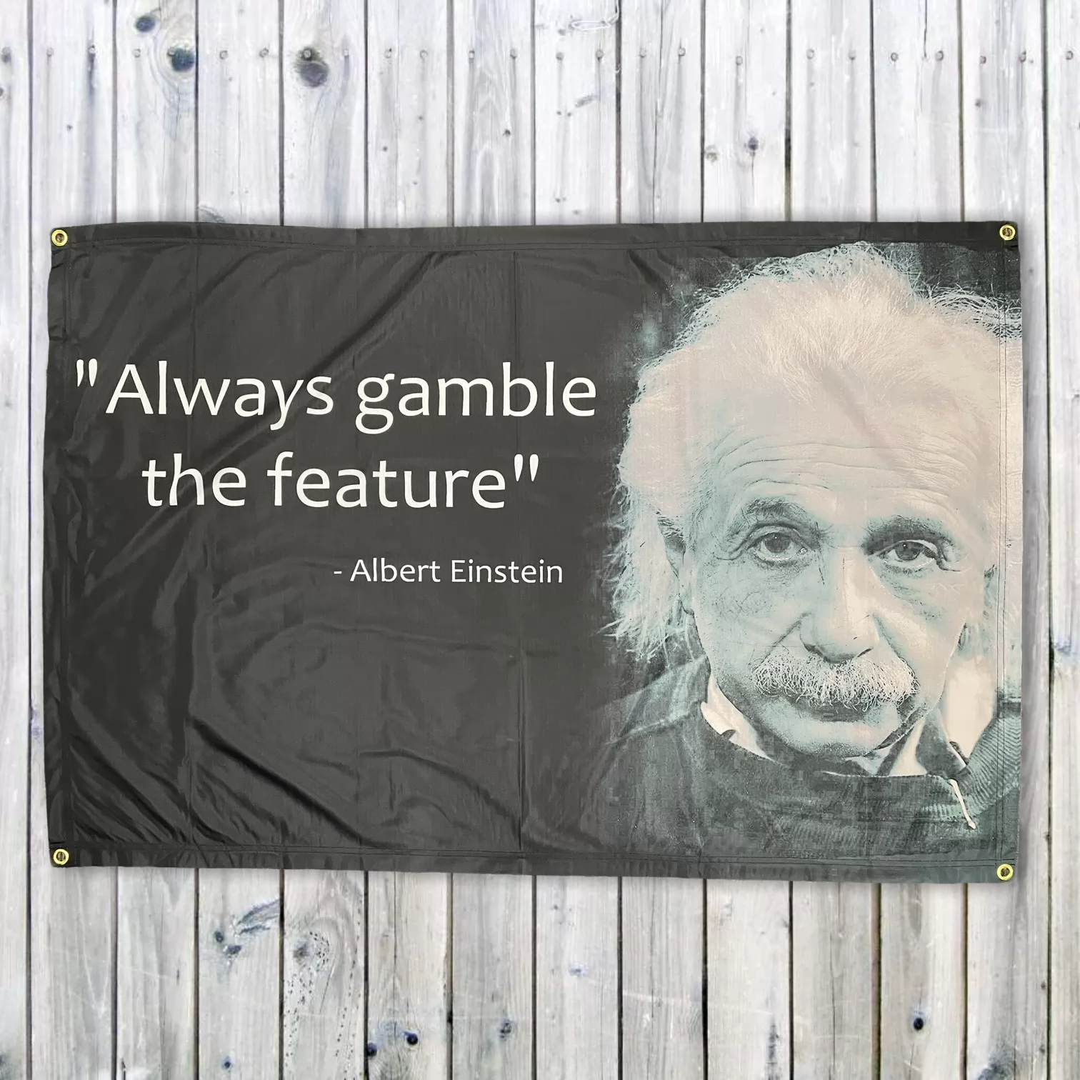 EINSTEIN WALL HANGING EINSTEIN WALL HANGING