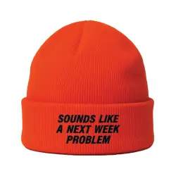 SOUNDS LIKE A NEXT WEEK PROBLEM HI-VIS ORANGE BEANIE