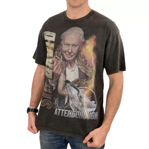 VINTAGE SIR DAVID T-SHIRT