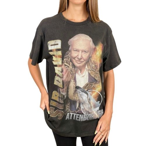 VINTAGE SIR DAVID UNISEX T-SHIRT