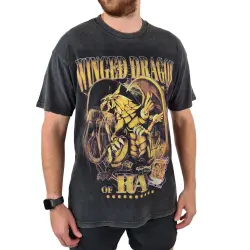 VINTAGE WINGED DRAGON T-SHIRT