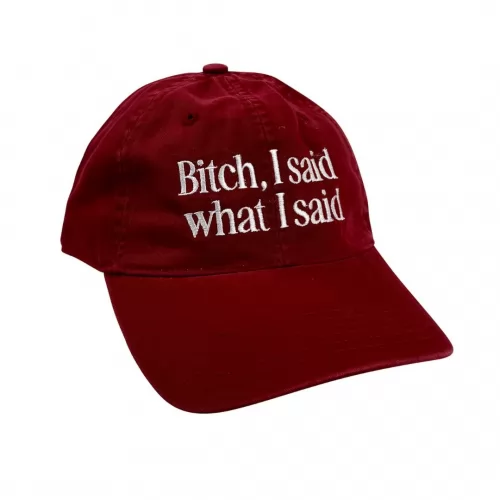 I SAID WHAT I SAID RED DAD HAT