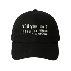 YOU WOULDNT STEAL DAD HAT