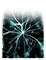 Plasma V1