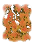 NEW_RED_YELLOW