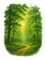 FORREST
