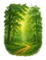 FORREST