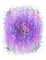 HALF_PURPLE