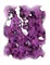 CLOUD_PURPLE