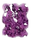 CLOUD_PURPLE
