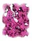 CLOUD_MAGENTA