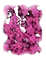 CLOUD_MAGENTA
