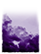DEEP-PURPLE