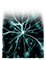 Plasma v1