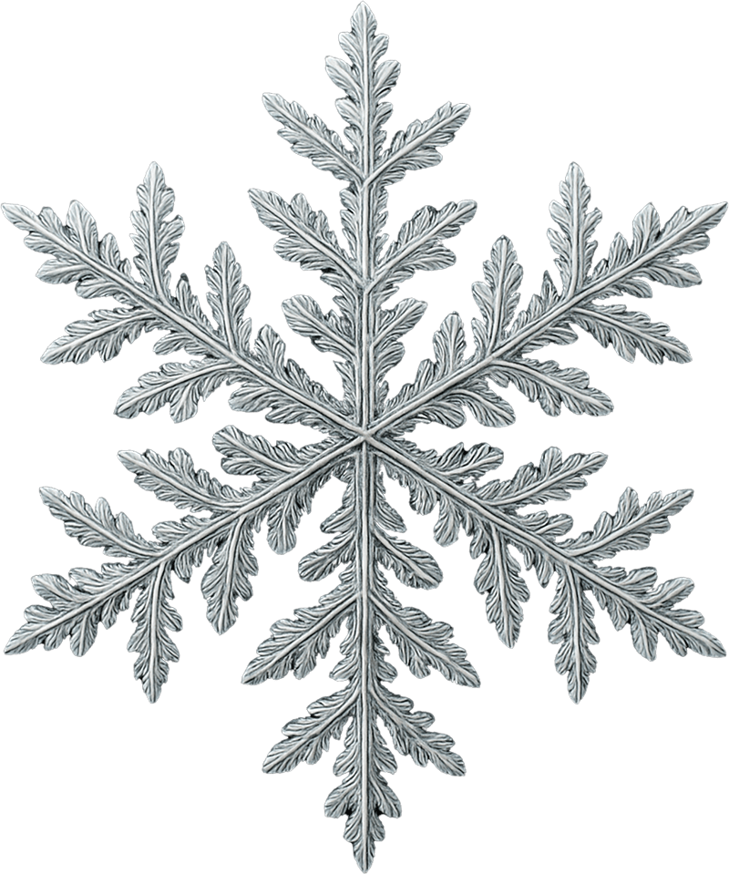 Snowflake Sticker
